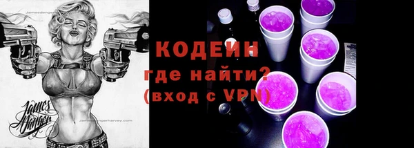 хмурый Абаза