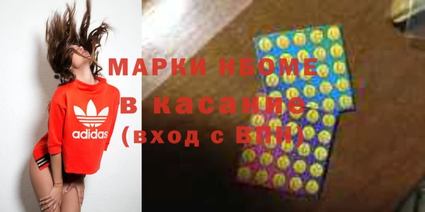 хмурый Абаза